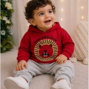 CONJ BLUSA CAPUZ E CALCA 40535B Tamanho P